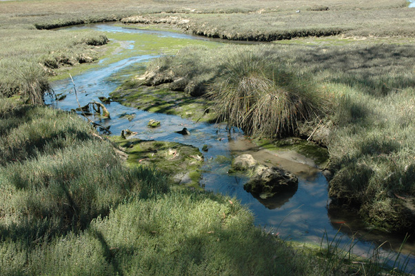 Morro Bay 037.JPG